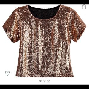 Rose Gold Sequin Long Crop Top